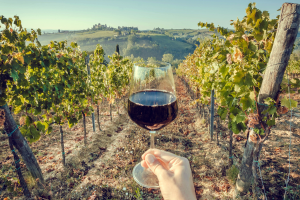 Hand holding a glass of red wine in front of a vineyard on a sunny day with rolling hills in the background.